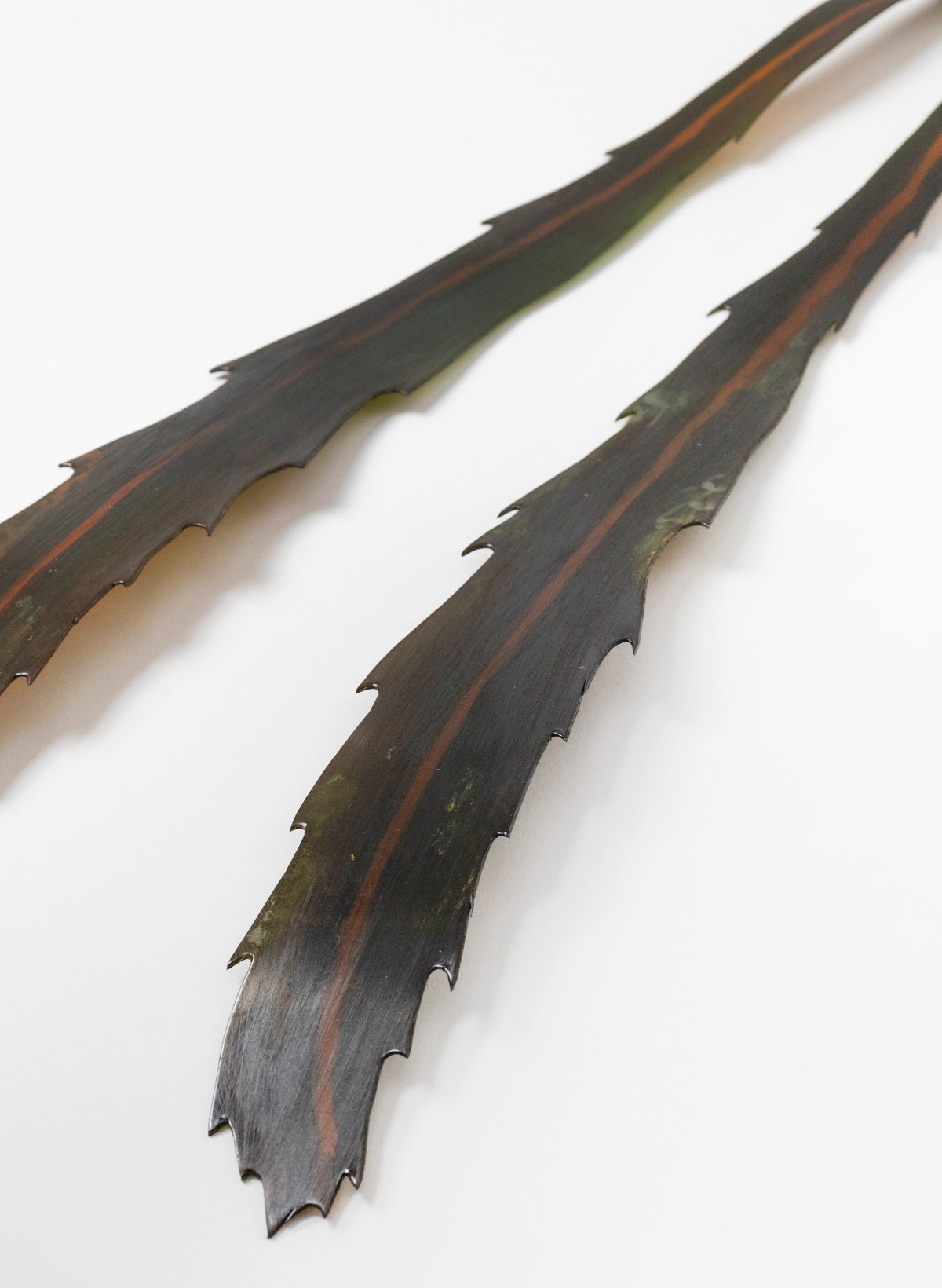 Lancewood Leaf - Medium