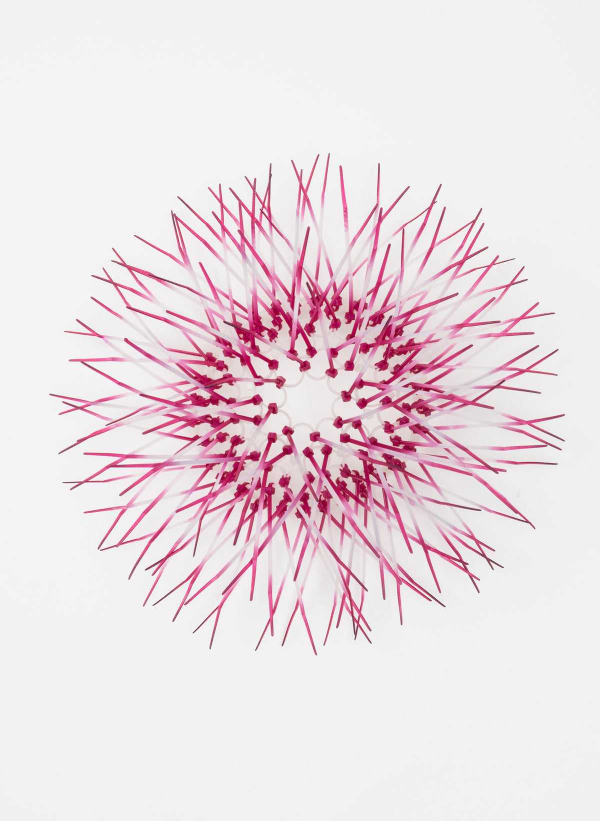 Mini Kina - Fuschia