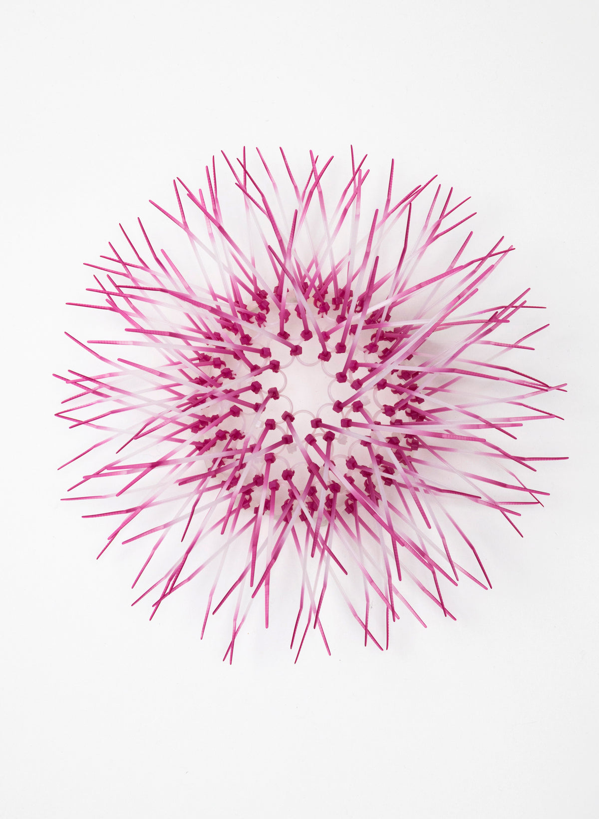 Mini Kina - Light Coral