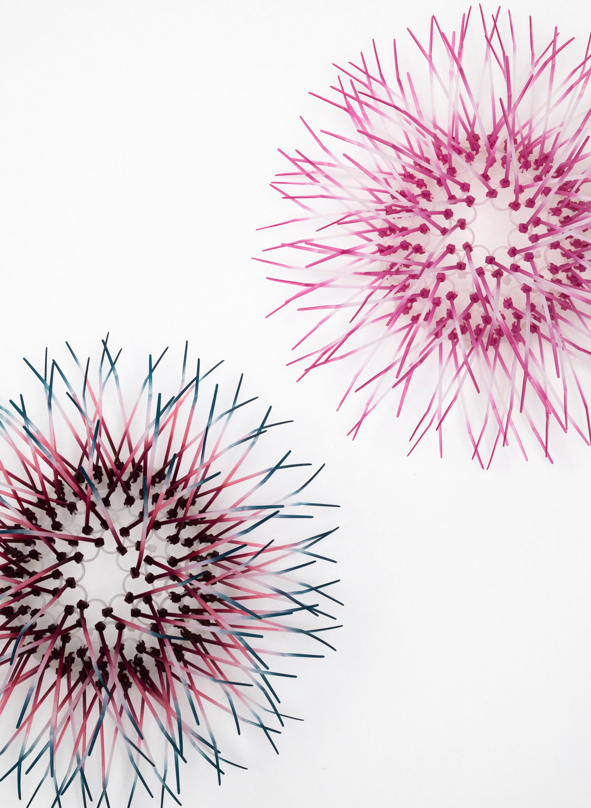 Mini Kina - Light Coral
