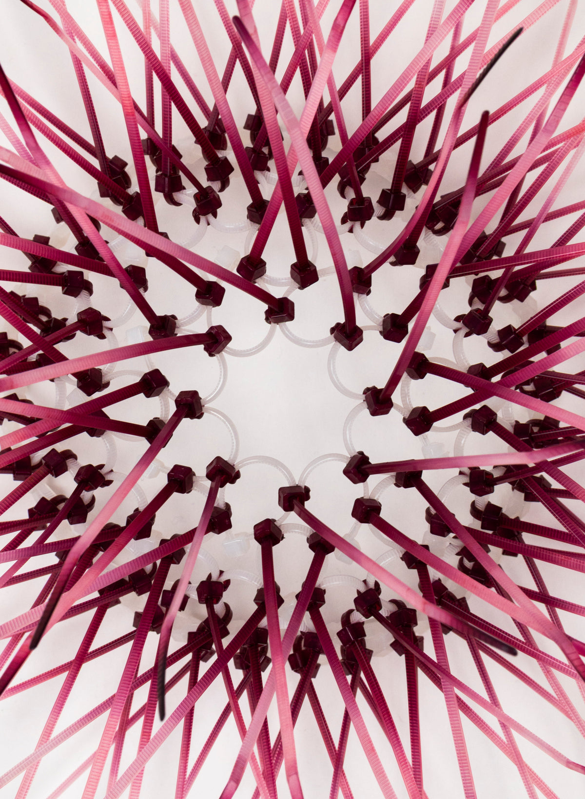 Mini Kina - Plum