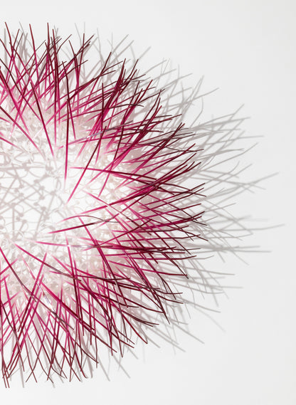 Large Kina - Plum