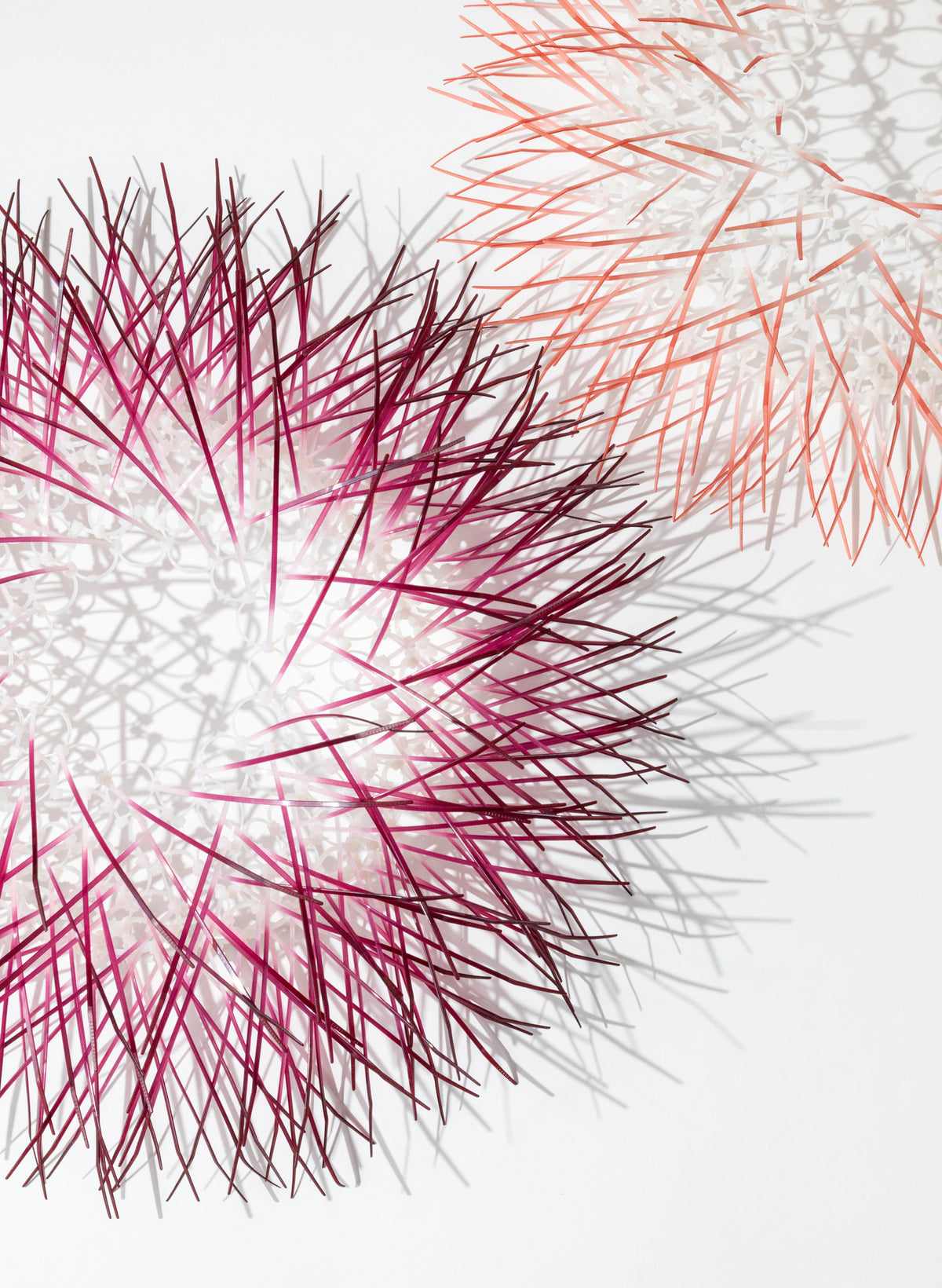 Large Kina - Plum
