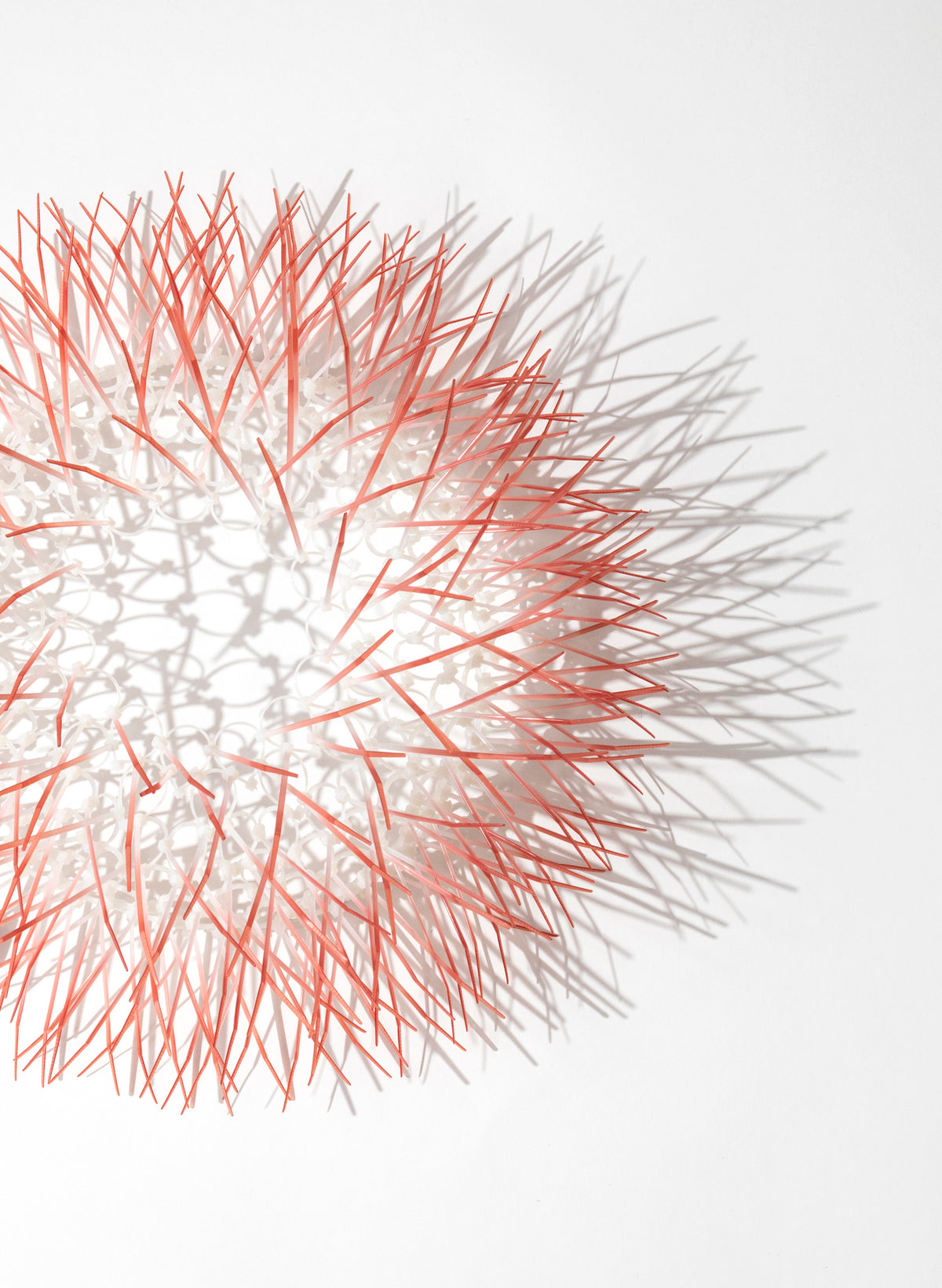Medium Kina - Light Coral