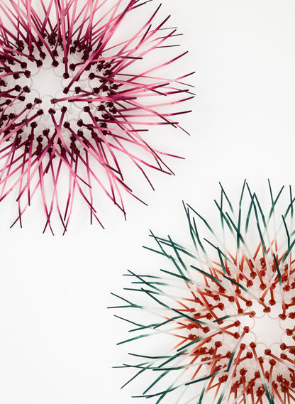Mini Kina - Sage and Coral