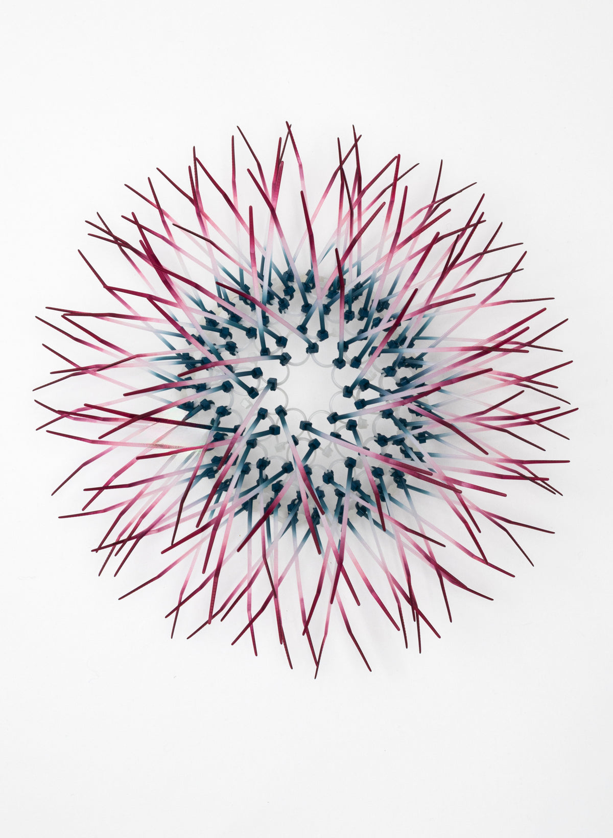 Mini Kina - Coral and Sage