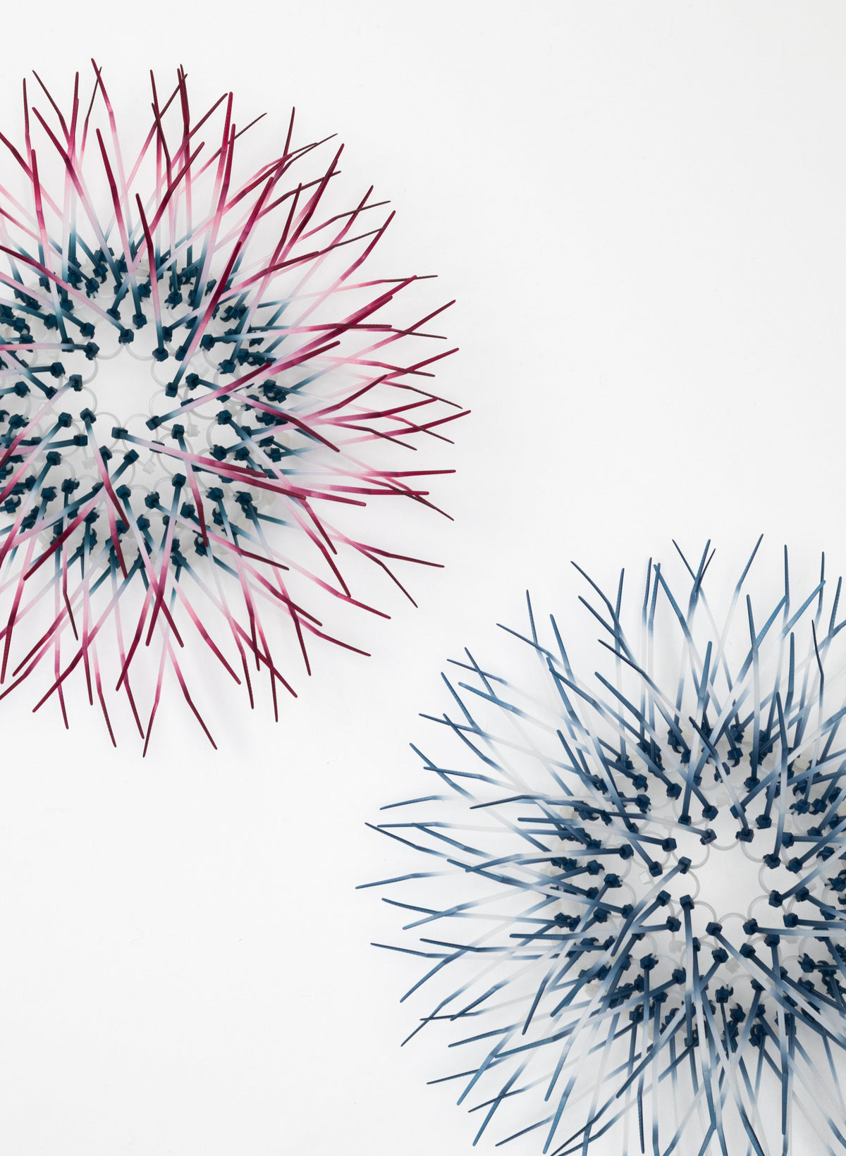 Mini Kina - Coral and Sage