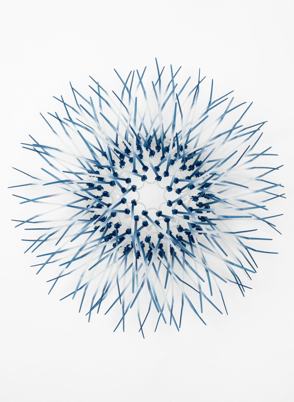 Mini Kina - Spruce Blue