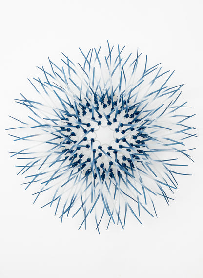 Mini Kina - Spruce Blue