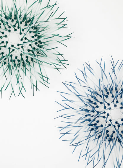 Mini Kina - Spruce Blue