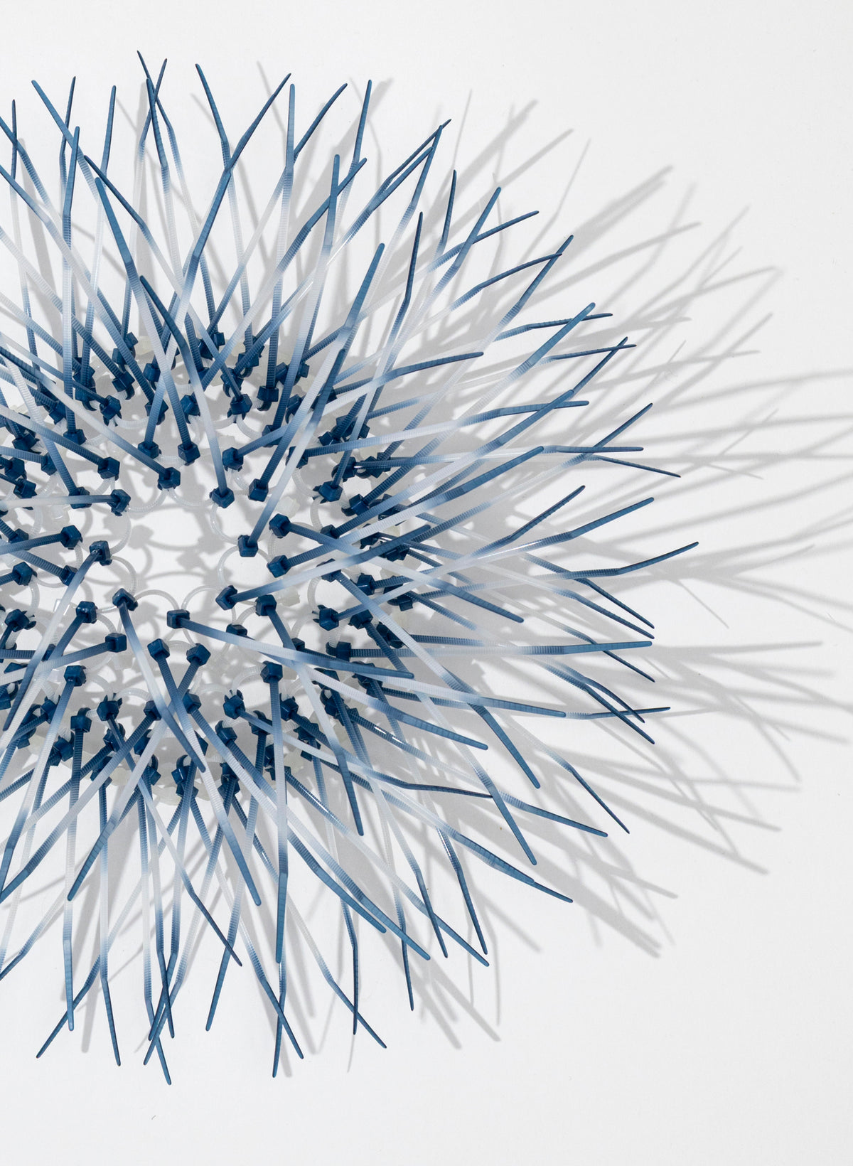 Mini Kina - Spruce Blue