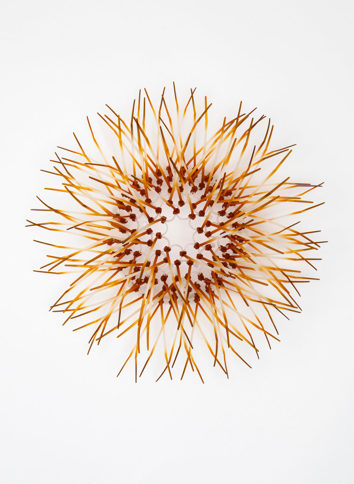 Mini Kina - Burnt Orange