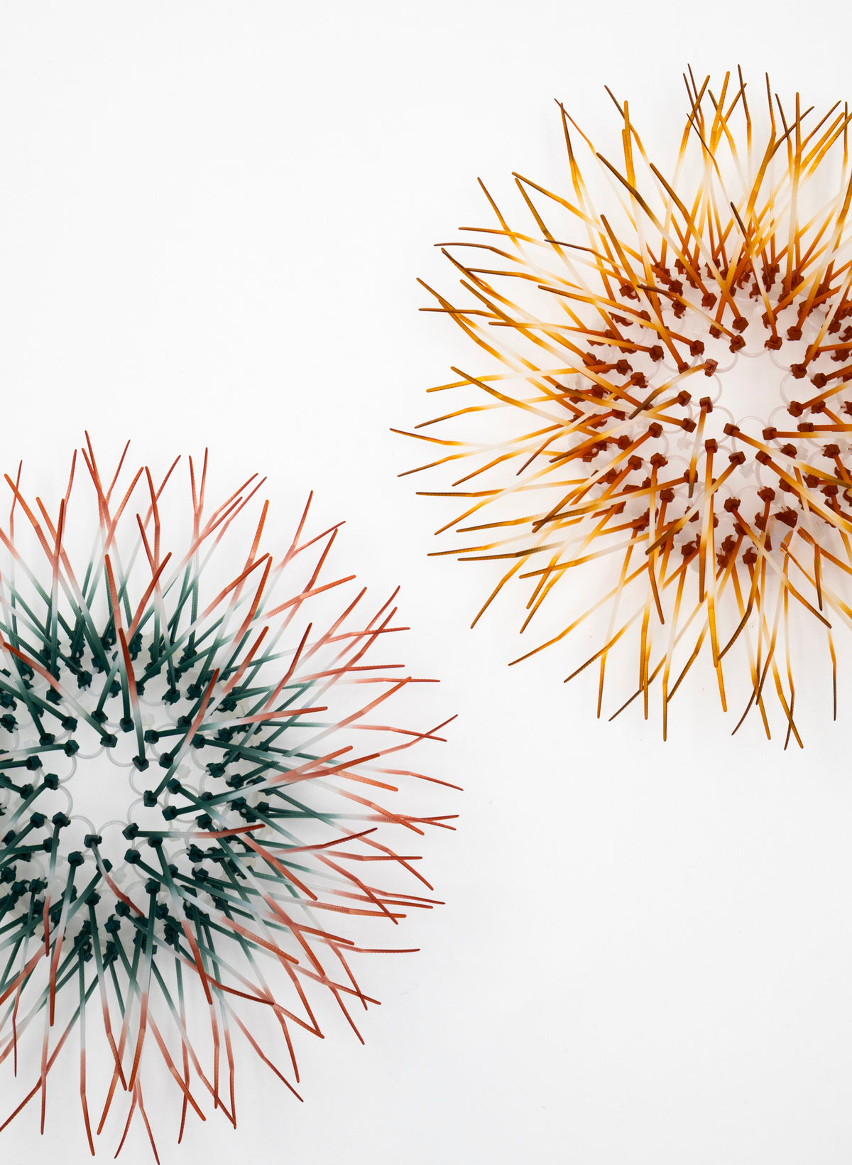 Mini Kina - Burnt Orange