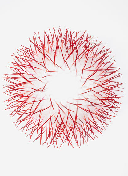 Medium Kina - Red