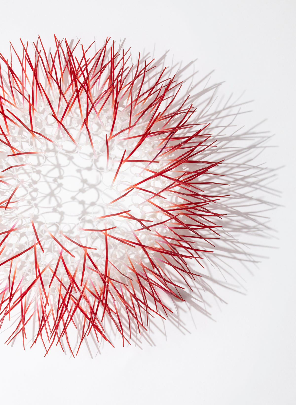 Medium Kina - Red