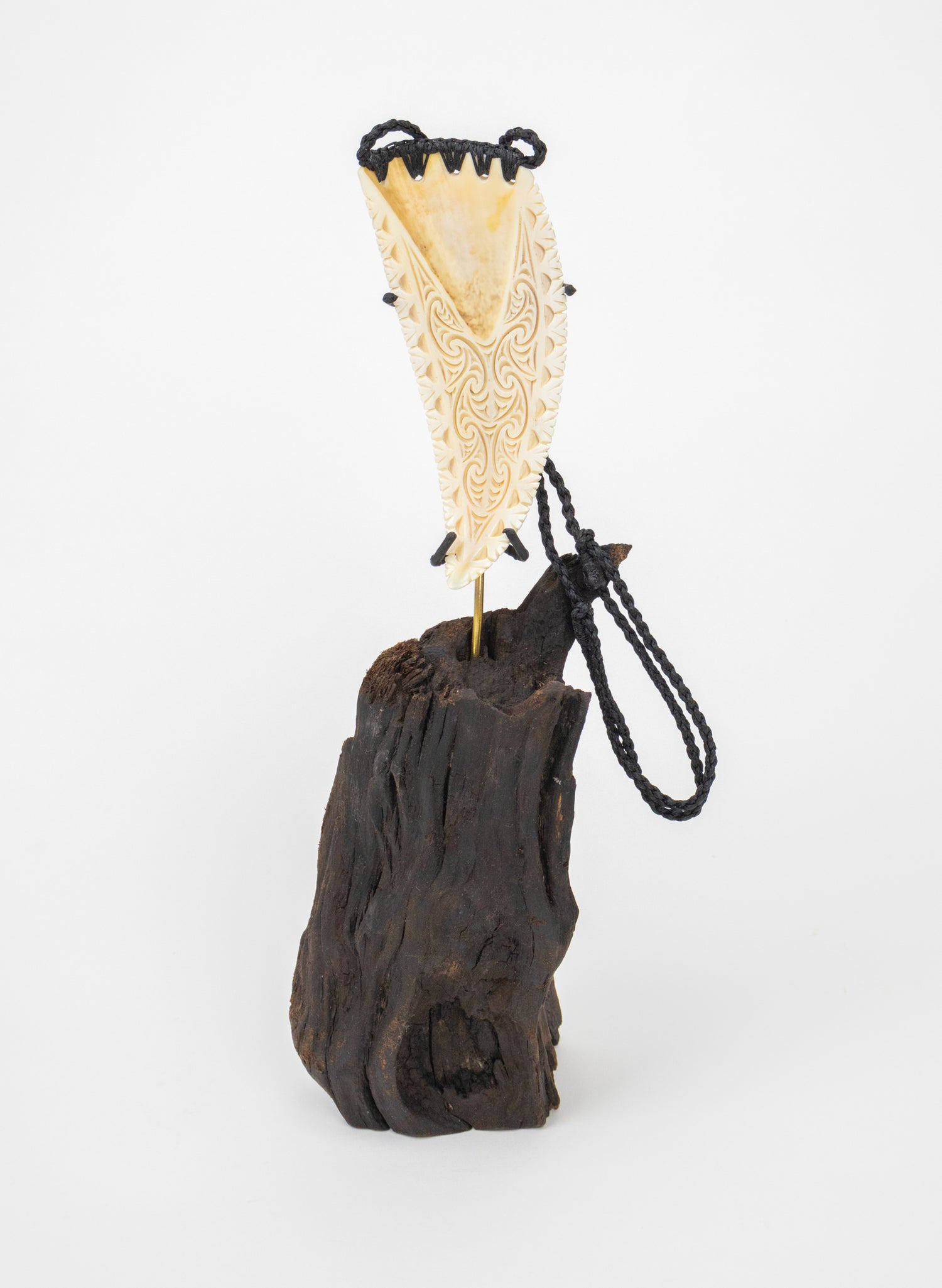 Carved Rei Puta Niho Parāoa Necklace on a stand