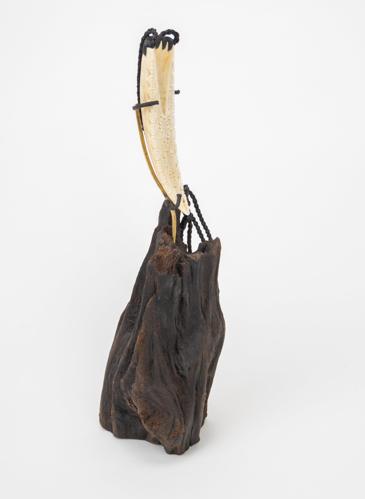 Carved Rei Puta Niho Parāoa Necklace on a stand