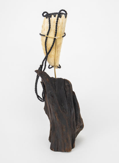 Carved Rei Puta Niho Parāoa Necklace on a stand