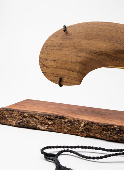 Wahaika Maire on Stand