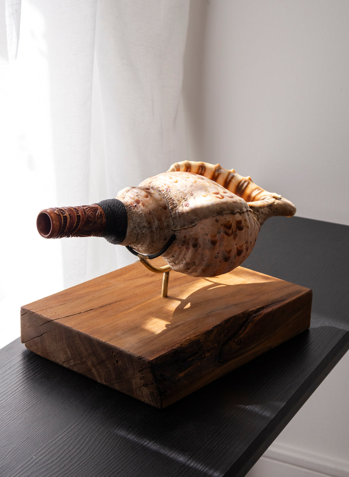 Pūtātara on Stand