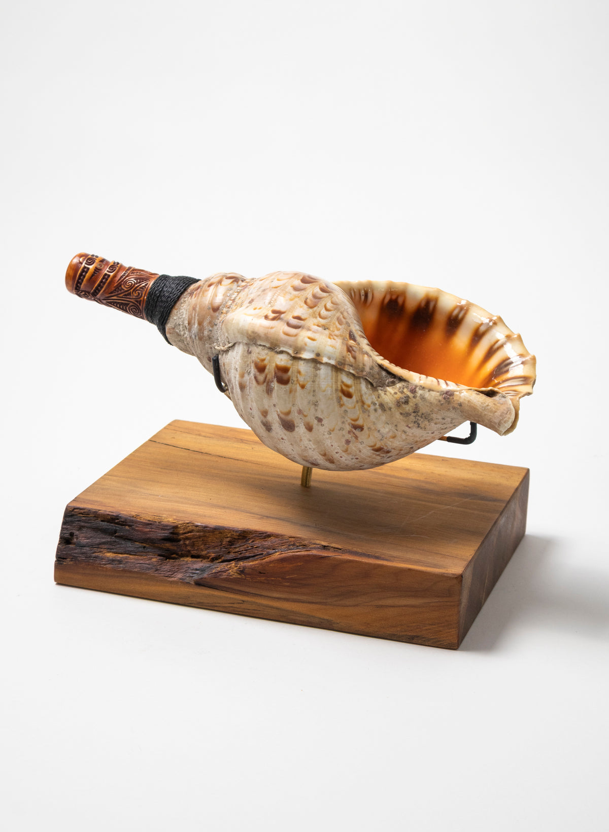 Pūtātara on Stand