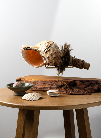 Pūtātara on Stand