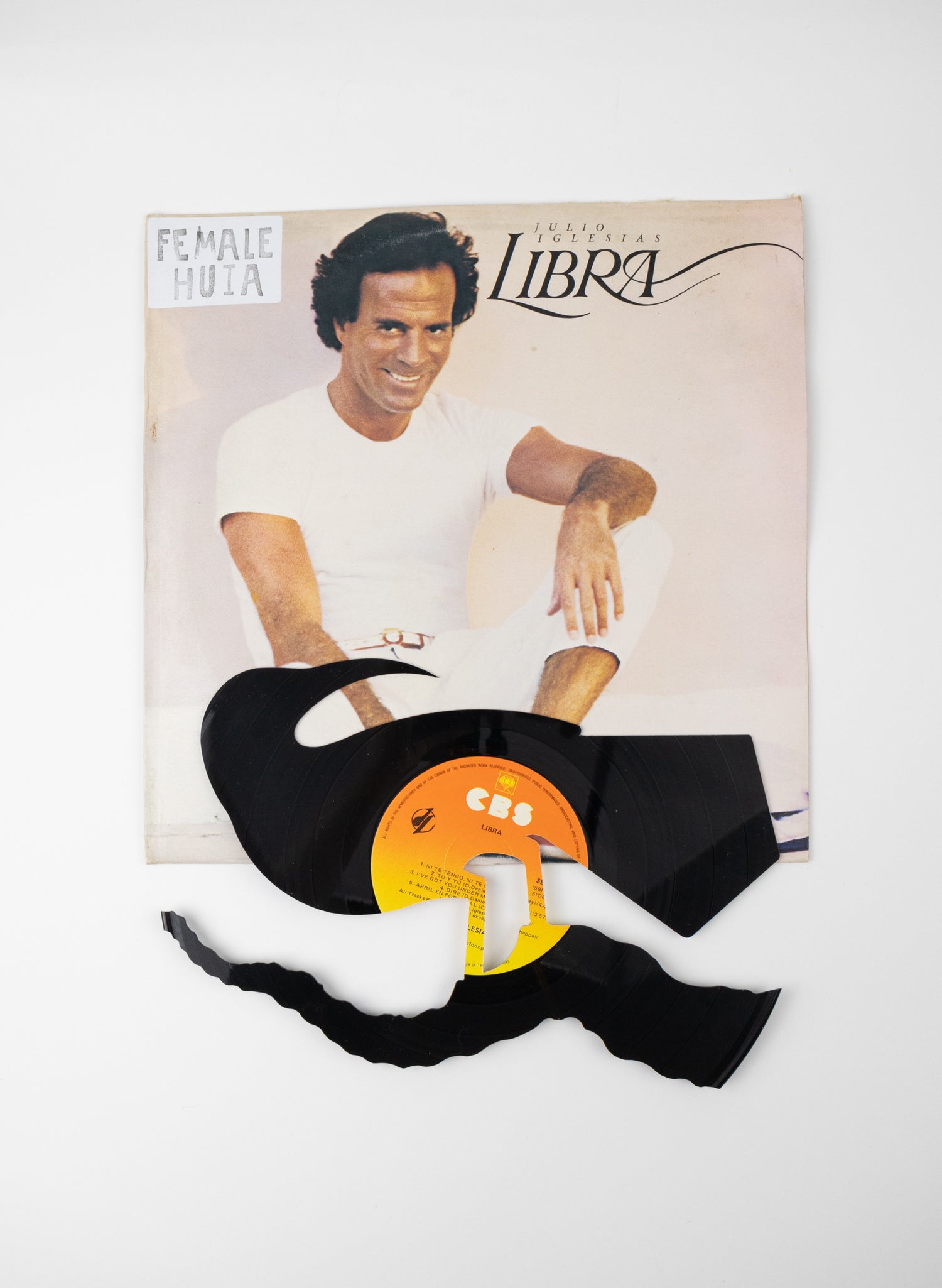 Female Huia | Libra