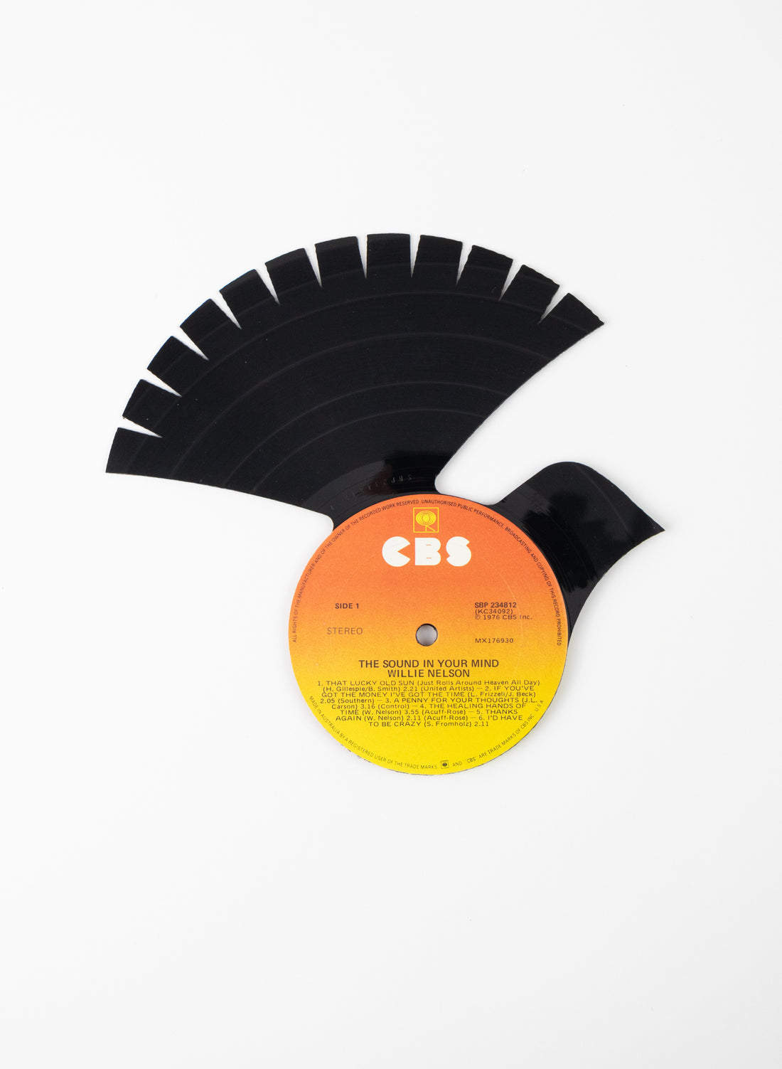 Fantail | The Sound in Your Mind