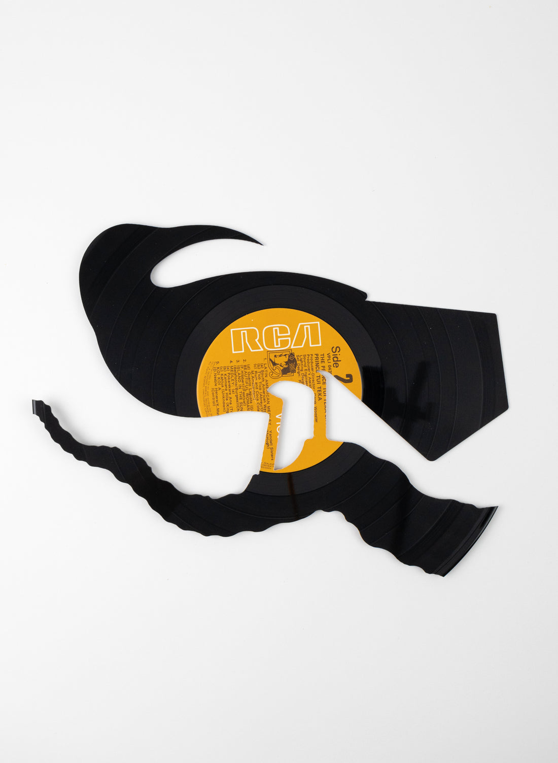 Female Huia | The Prince Tui Teka Show