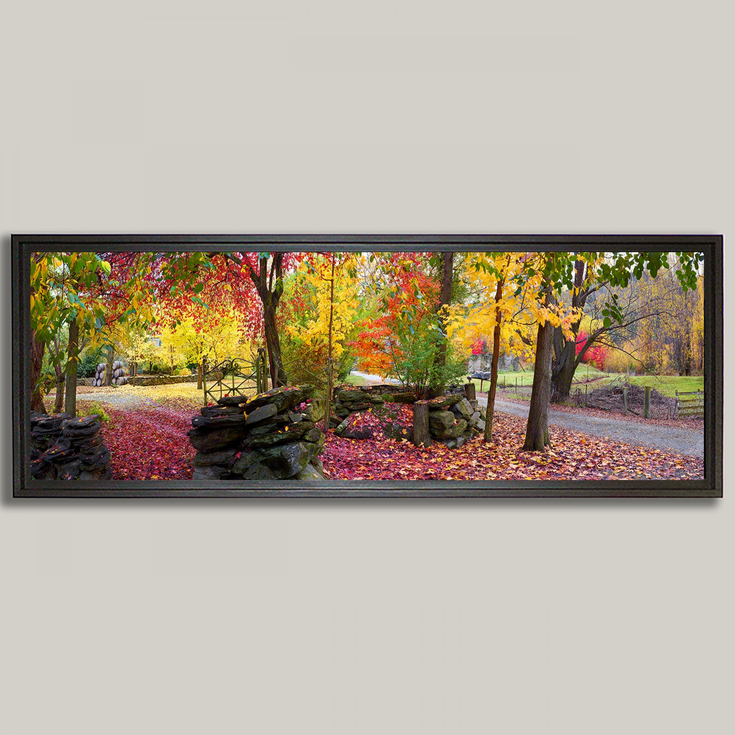 Autumn Symphony - Photographic Print