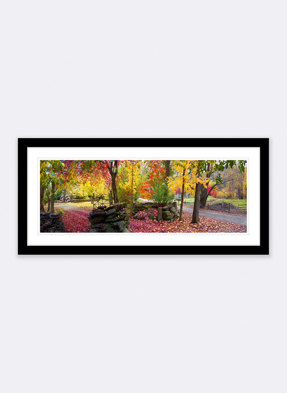 Autumn Symphony - Photographic Print