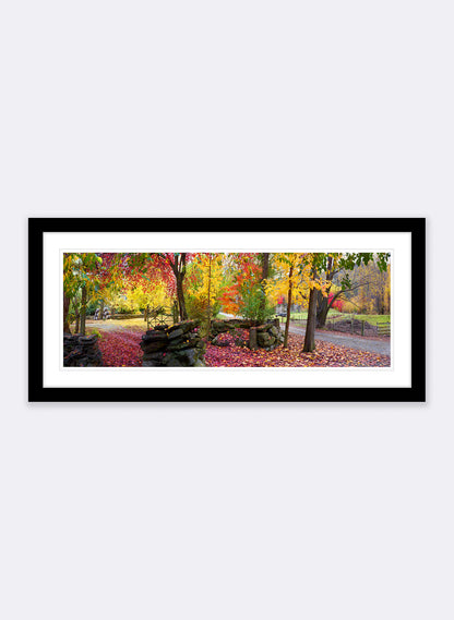 Autumn Symphony - Photographic Print