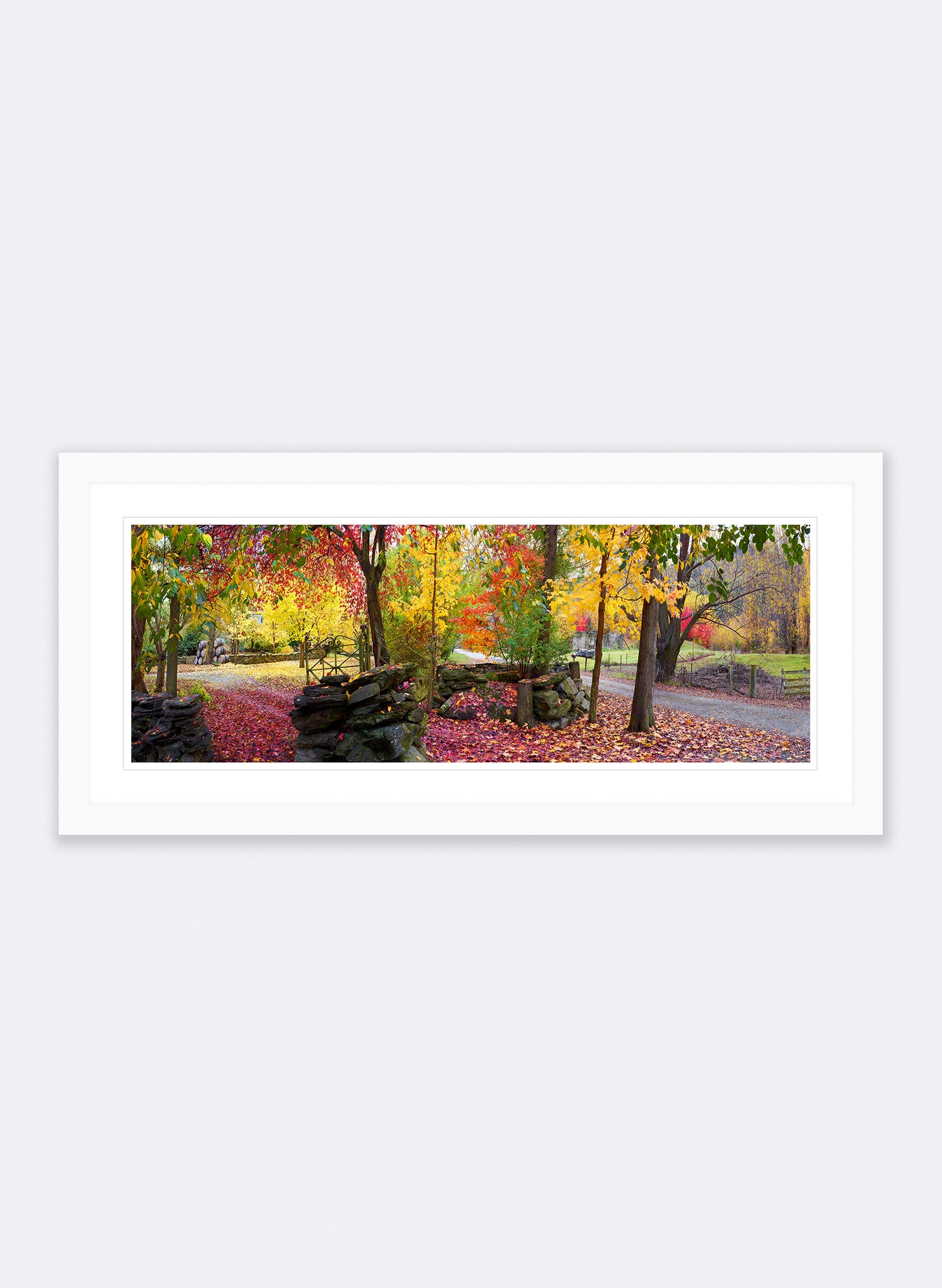 Autumn Symphony - Photographic Print