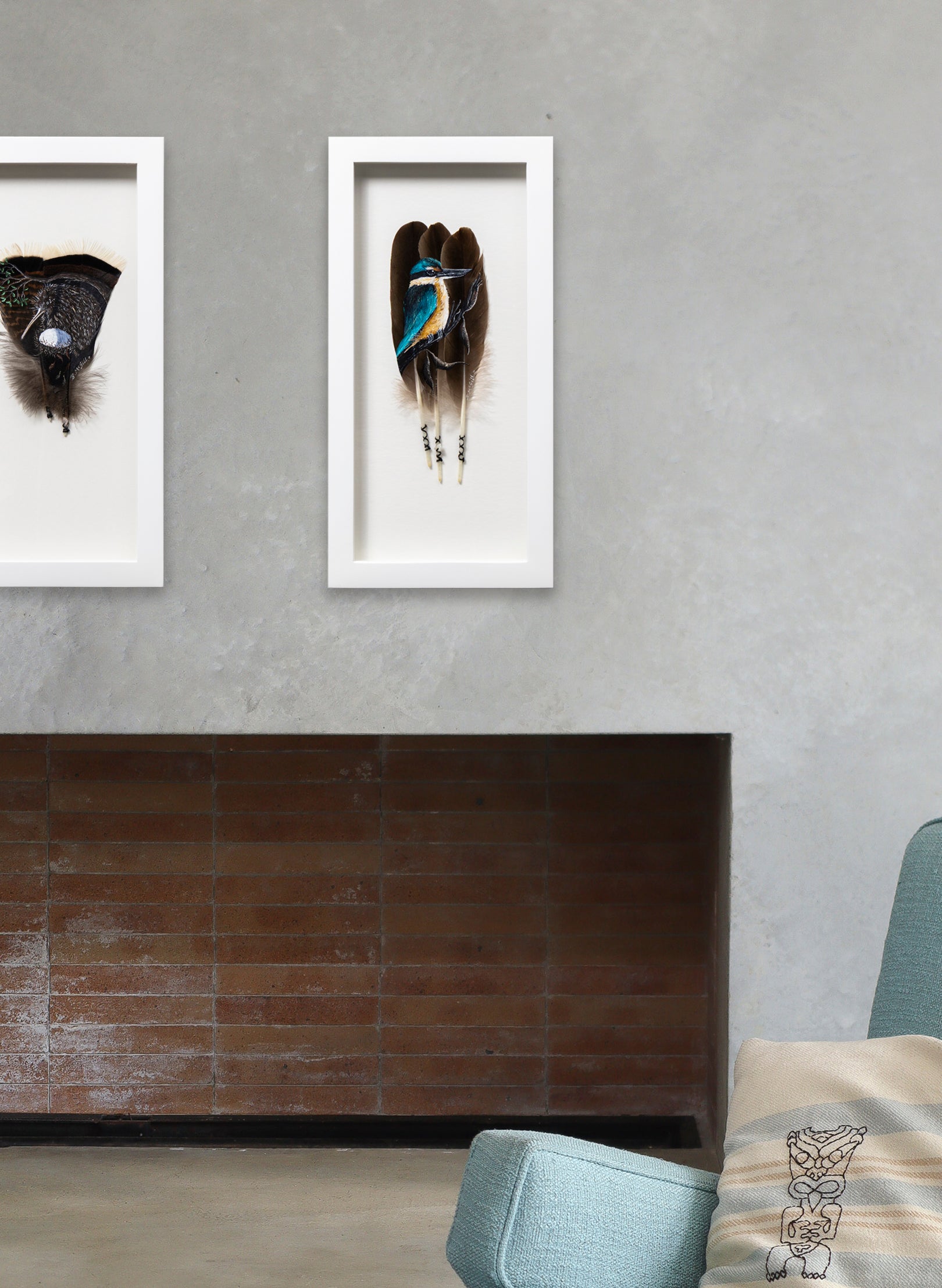 Kingfisher Kotare - Framed