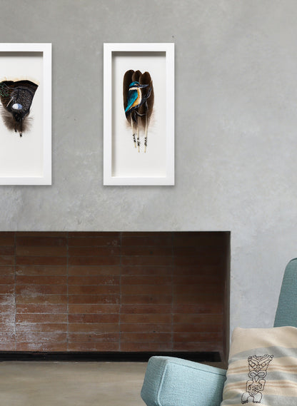 Kingfisher Kotare - Framed