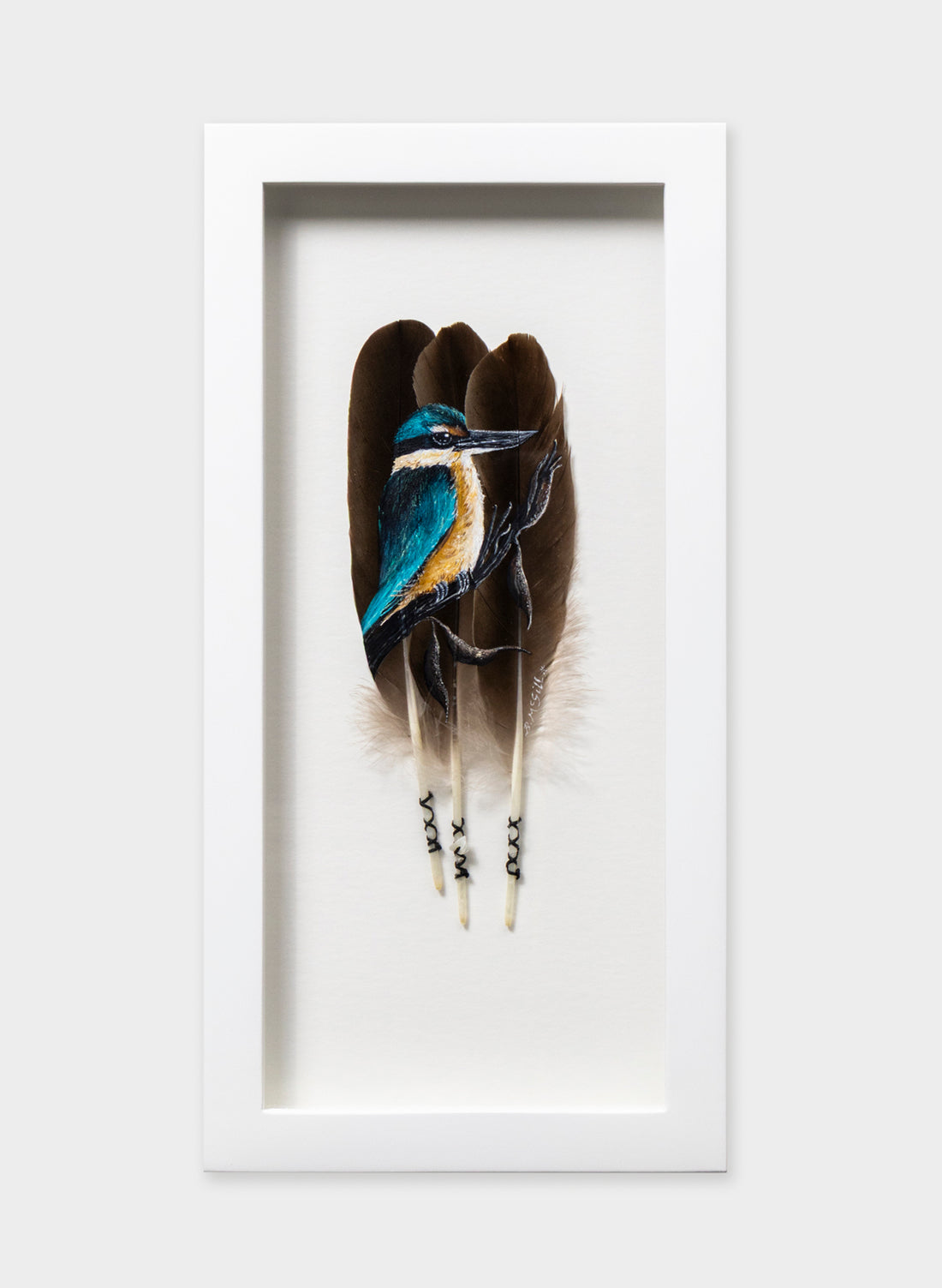 Kingfisher Kotare - Framed