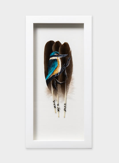 Kingfisher Kotare - Framed