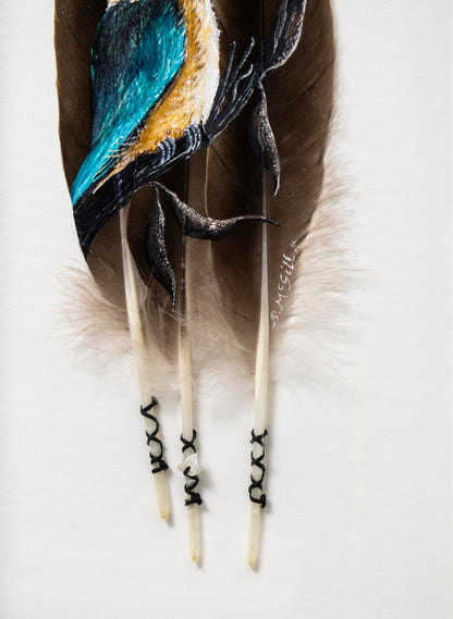 Kingfisher Kotare - Framed