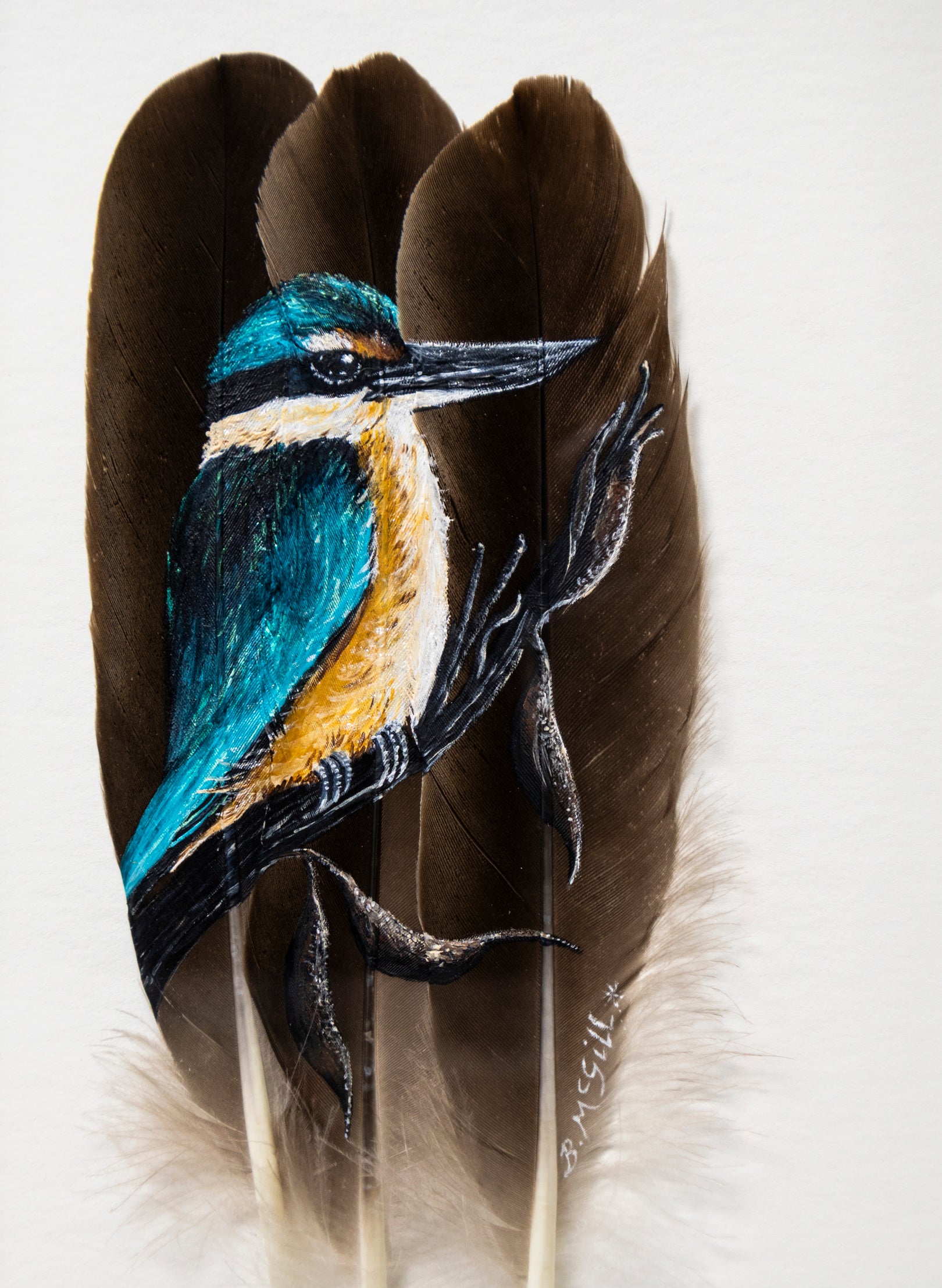 Kingfisher Kotare - Framed