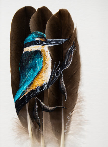 Kingfisher Kotare - Framed