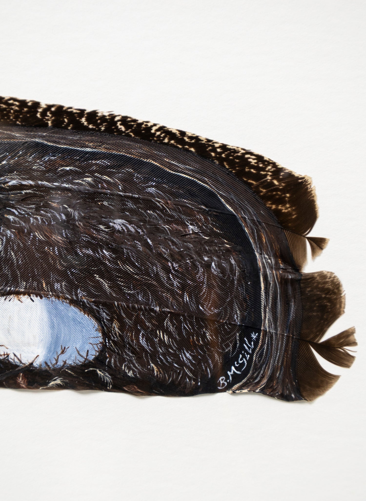 Kiwi and Egg - Framed