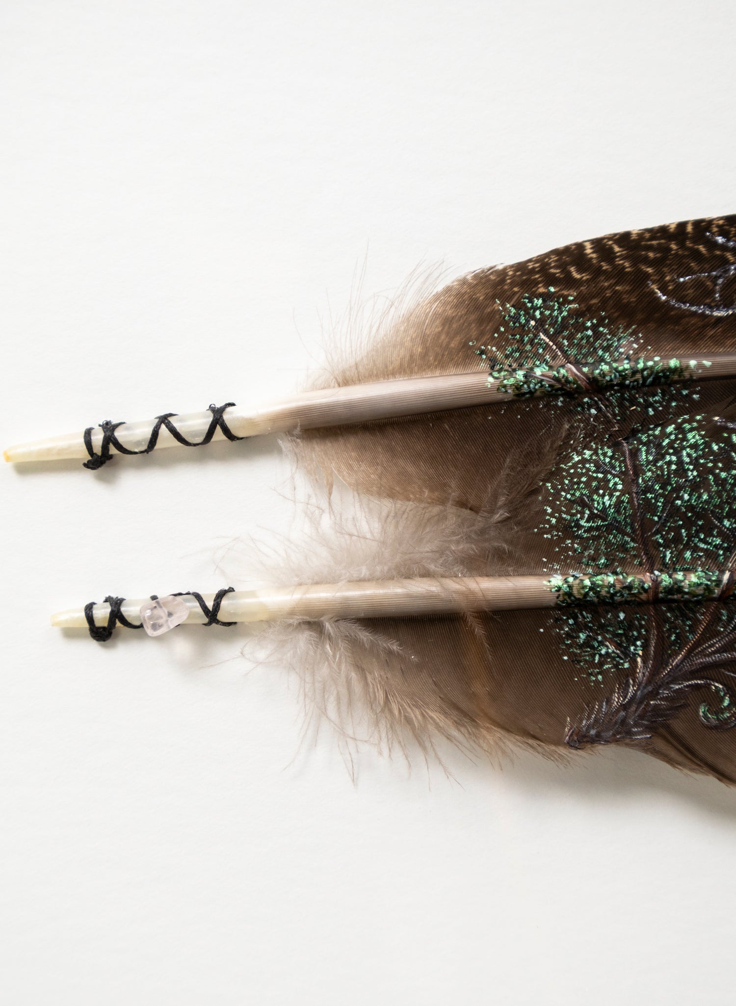 Kiwi and Egg - Framed