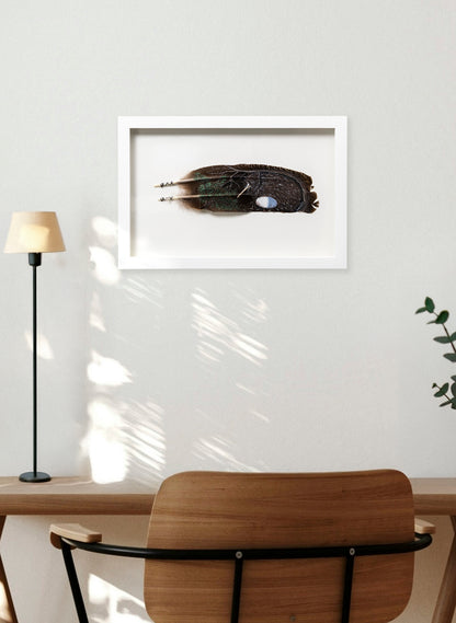 Kiwi and Egg - Framed