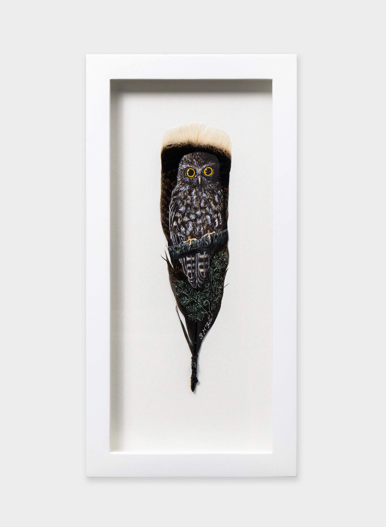 Morepork Ruru Over a Ponga- Framed