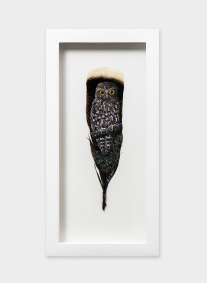 Morepork Ruru Over a Ponga- Framed