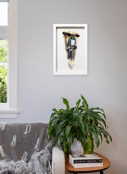 NZ Wood Pigeon Kererū - Framed