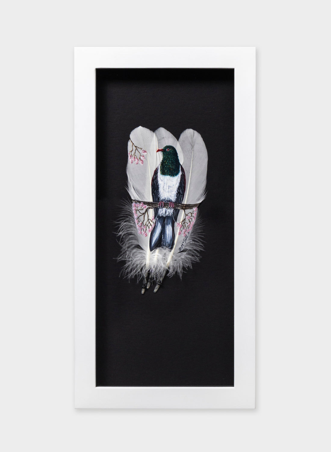 Kererū on Blossom  - Framed