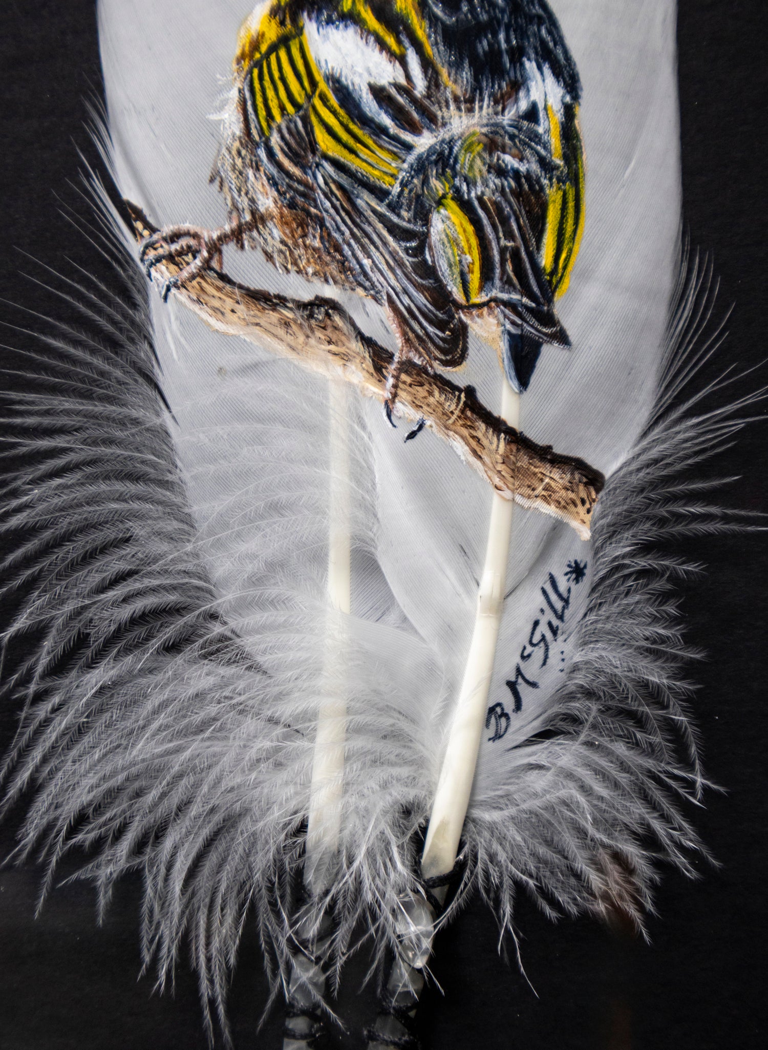 Stitchbird Hihi - Framed