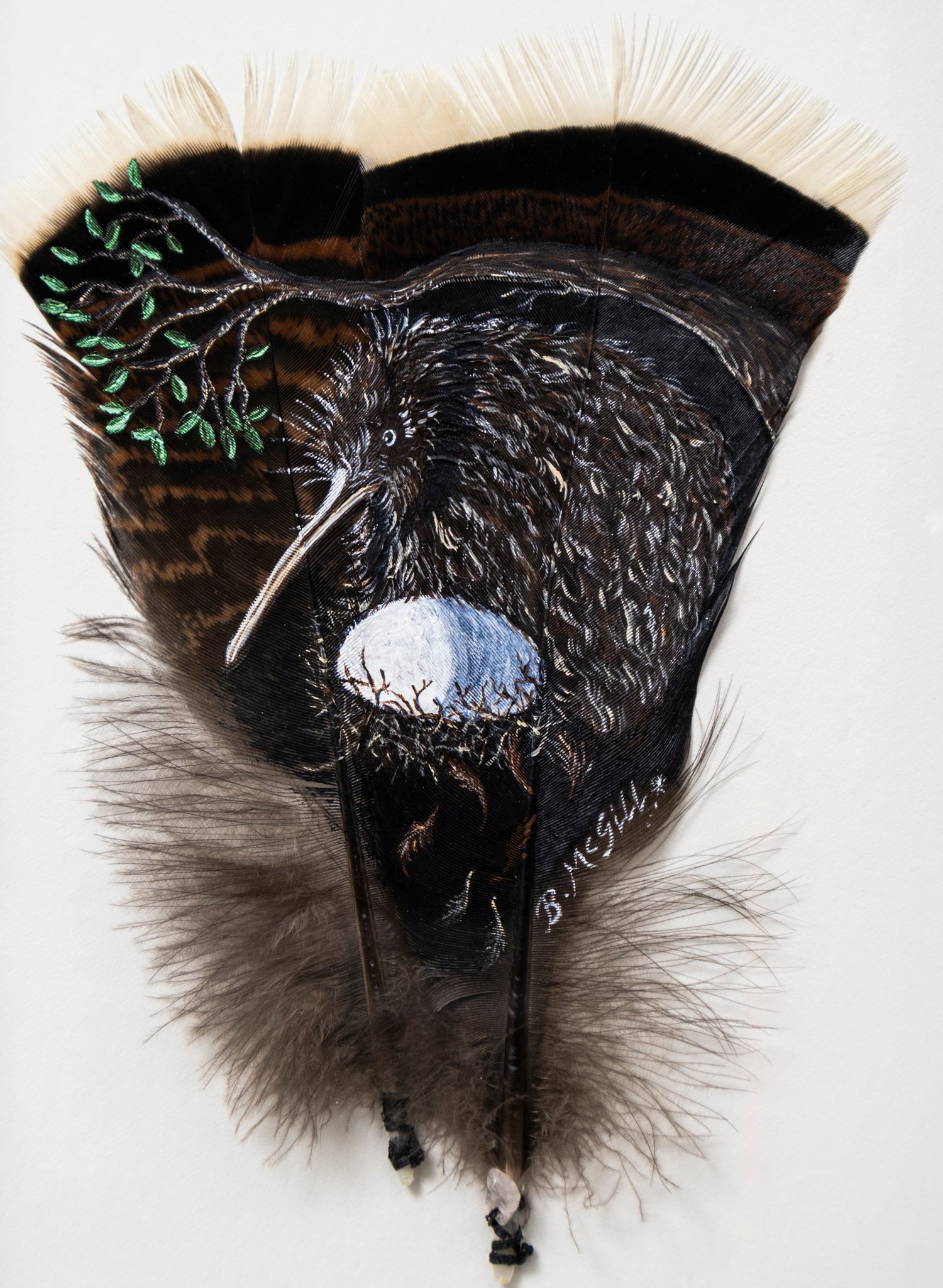 Little Brown Kiwi - Framed