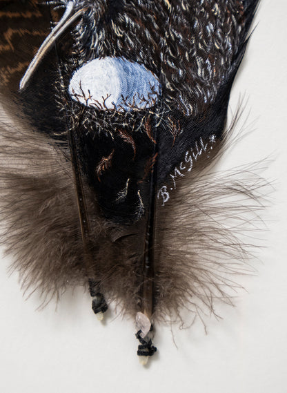 Little Brown Kiwi - Framed